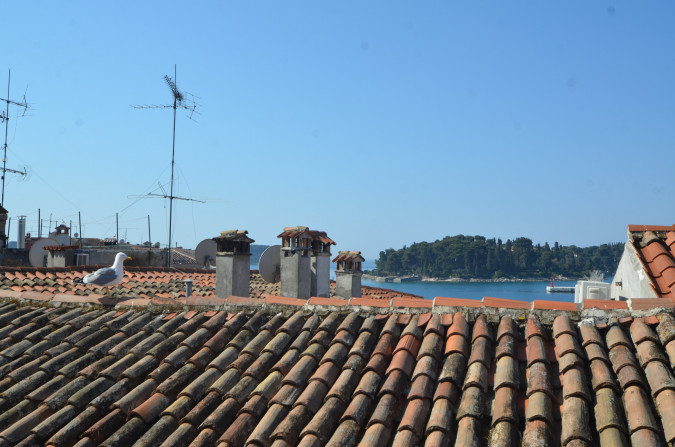 Photos, Casa Epulona - luxury apartment in center of Rovinj, with sea view Rovinj